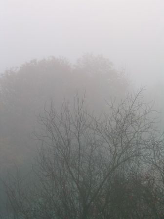Beauvais sous le brouillard