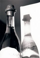 bouteille_chataigne.jpg