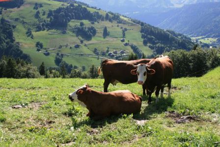 Ballade au dessus du Grand Bornand