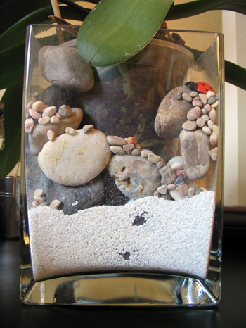 nouveau pot
