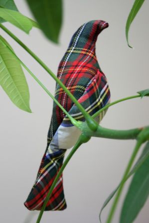 Little Bird